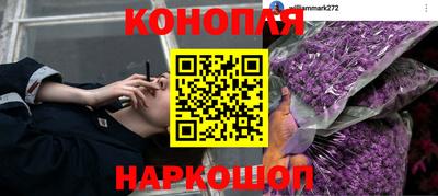дживик Коммунар