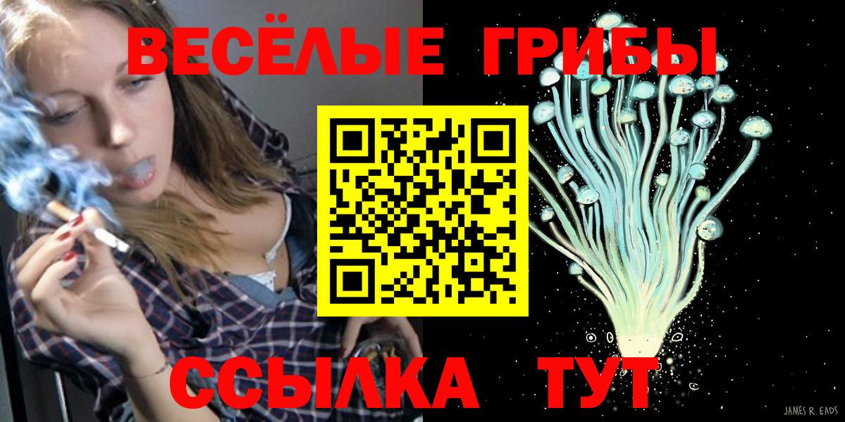 Псилоцибиновые грибы прущие грибы  Псилоцибиновые грибы прущие грибы  Краснодар  Вход с VPN 